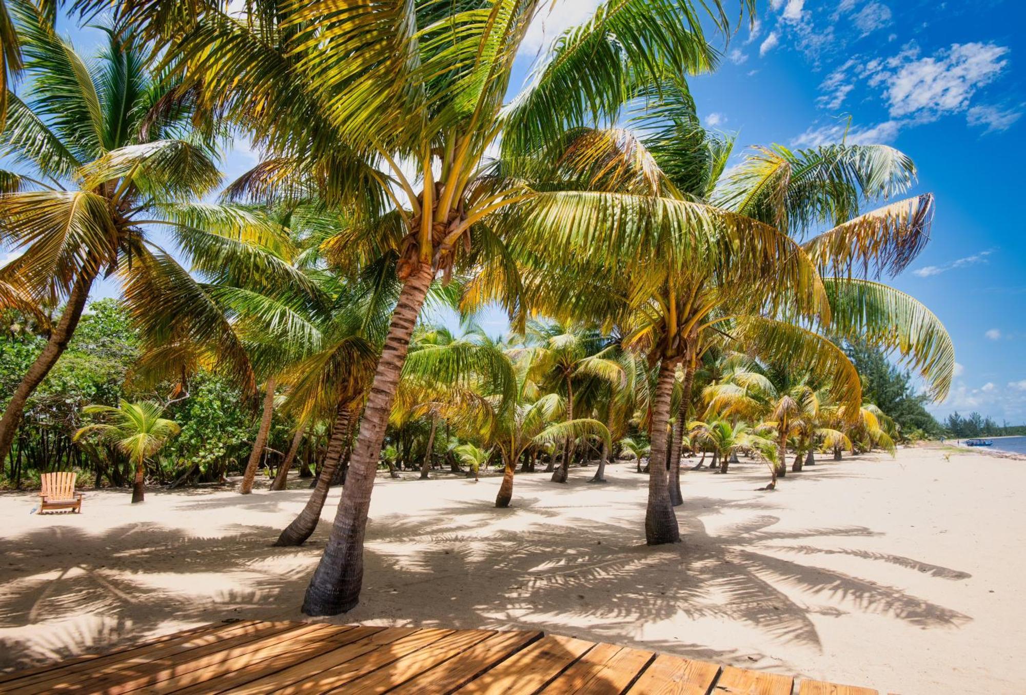 Sabal Beach Punta Gorda Esterno foto